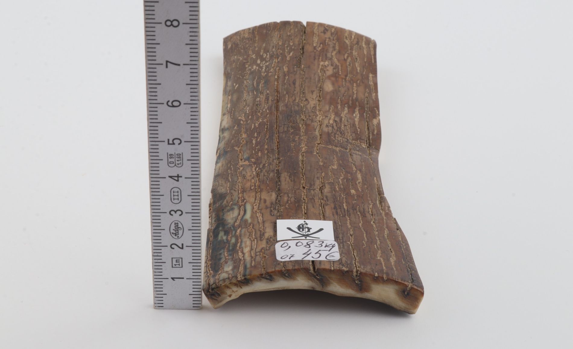 Brown mammoth bark