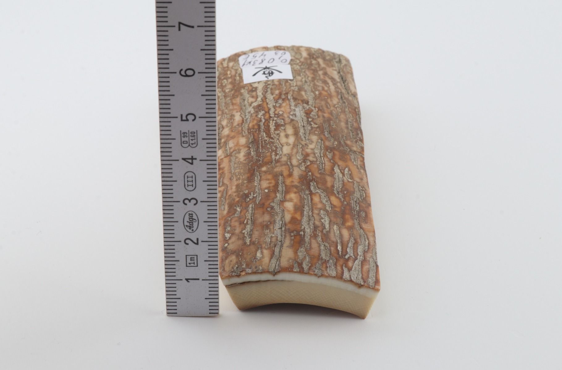 Beige mammoth bark