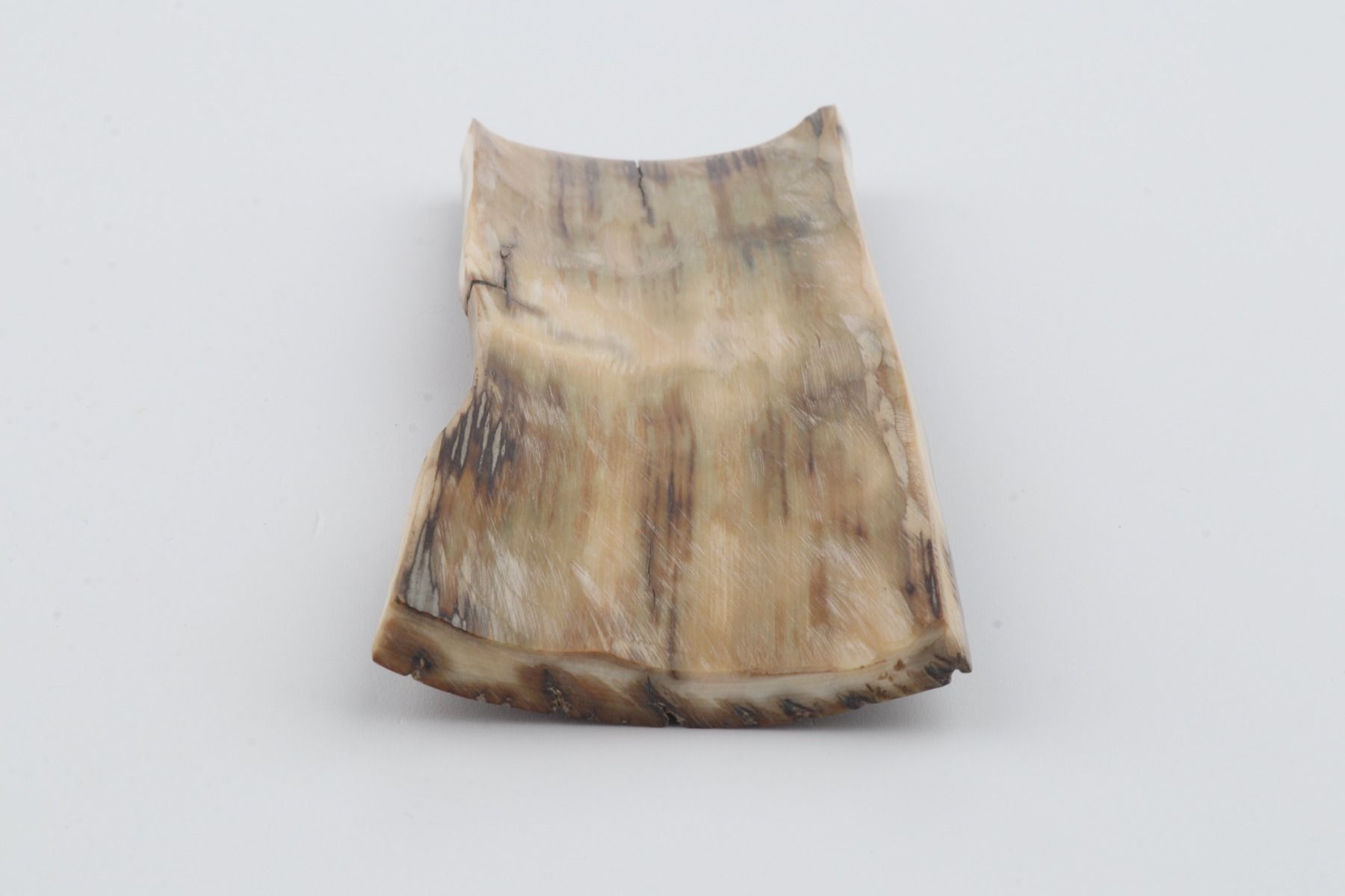 Brown mammoth bark