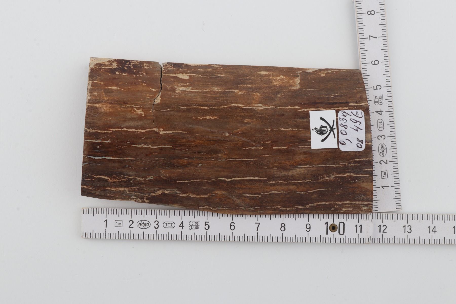 Brown mammoth bark