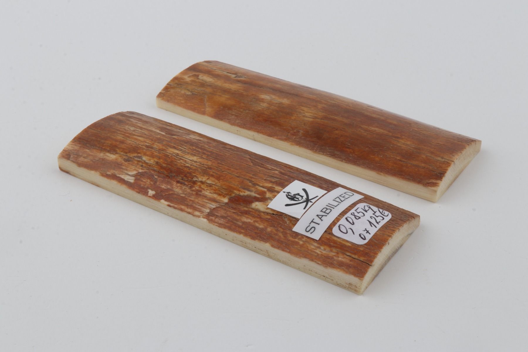 Stabilised mammoth bark scales