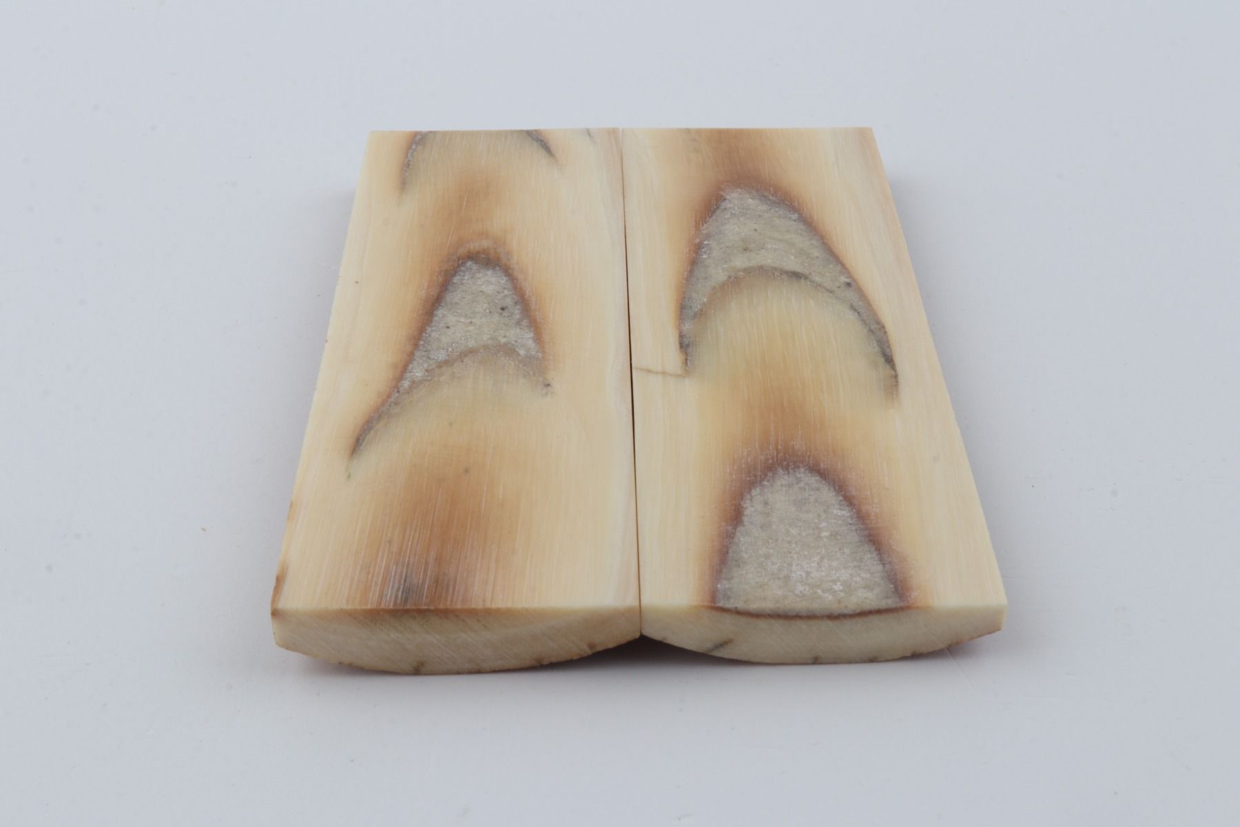 Stabilised mammoth bark scales