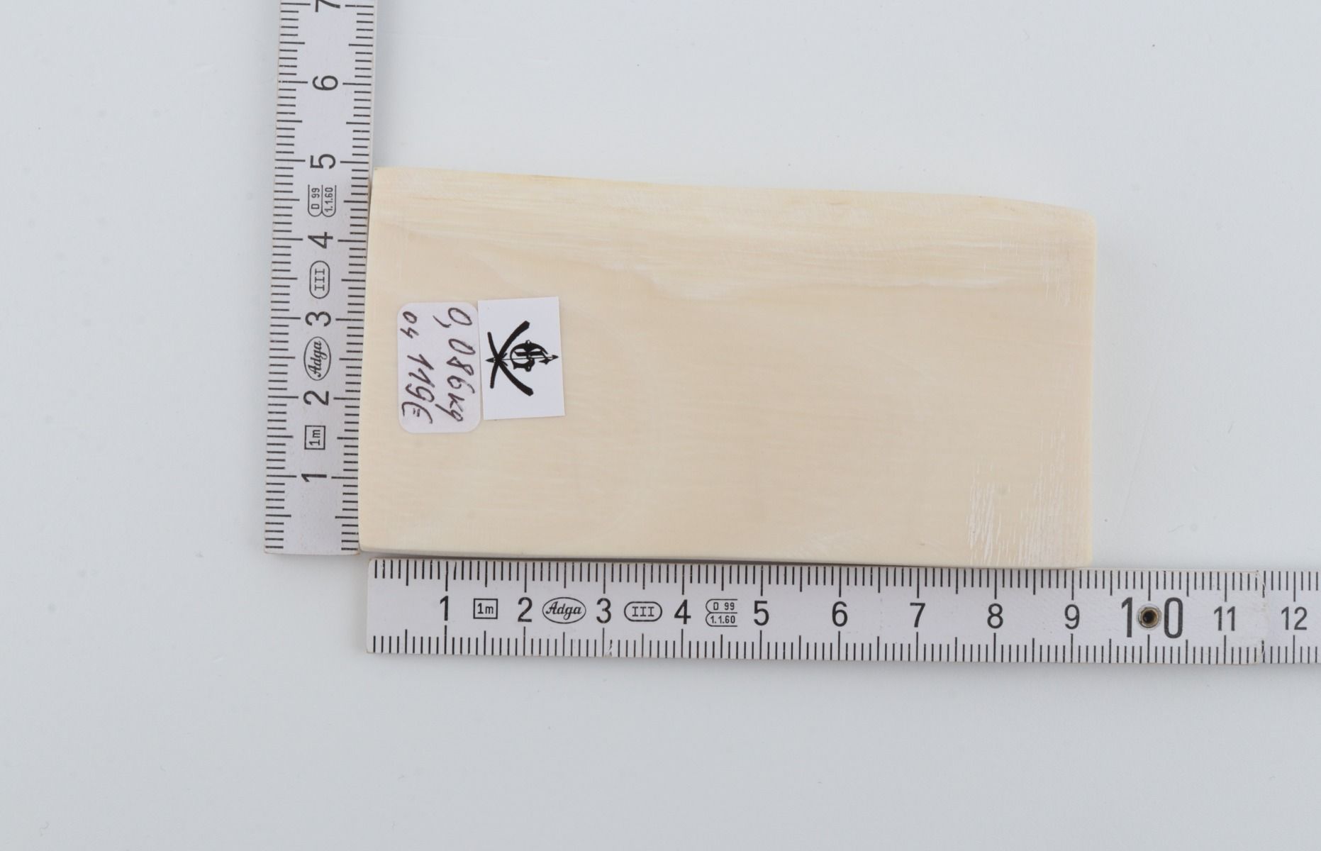 White mammoth ivory segment