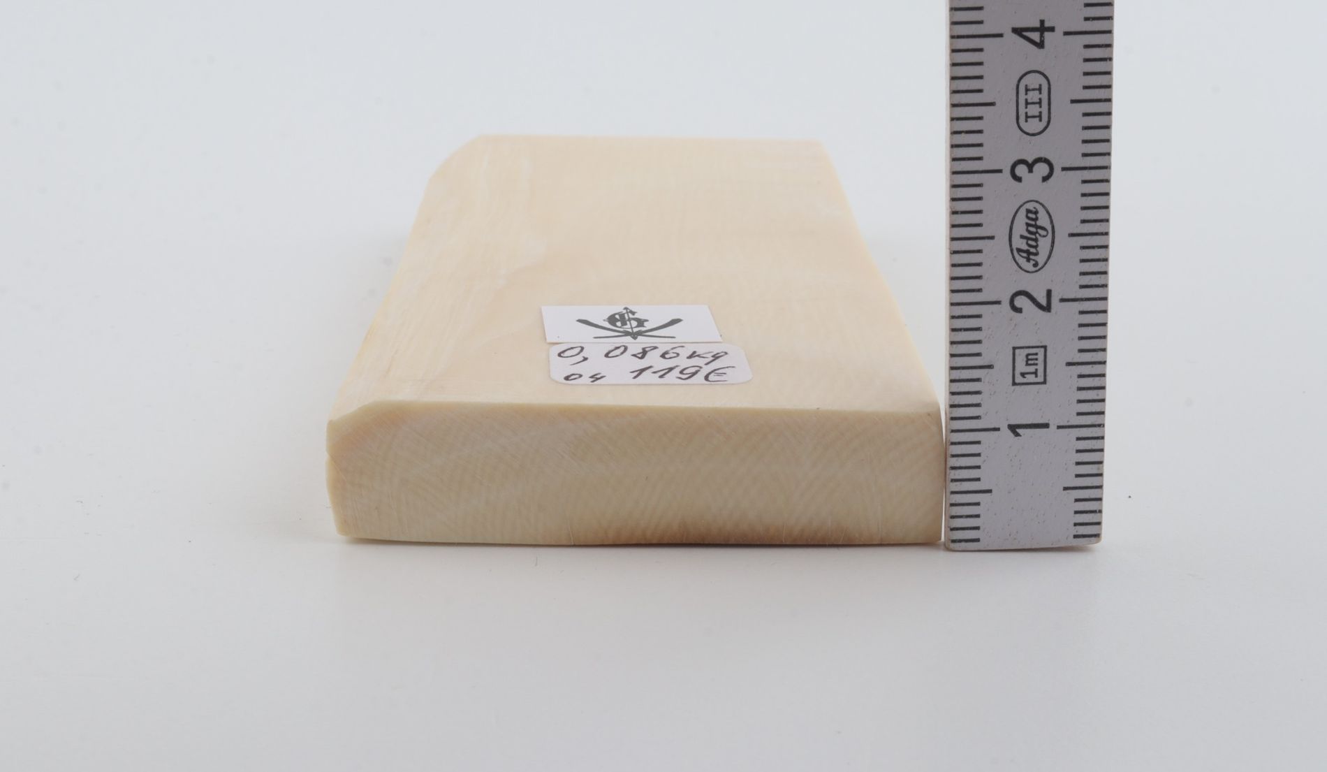 White mammoth ivory segment