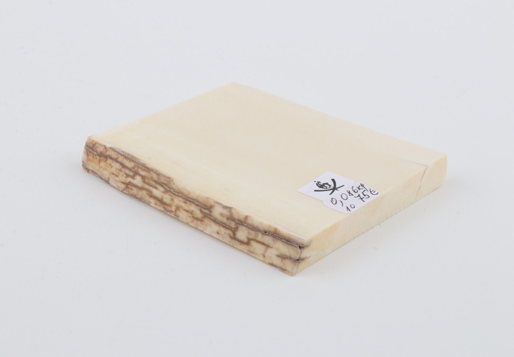 White mammoth ivory segment