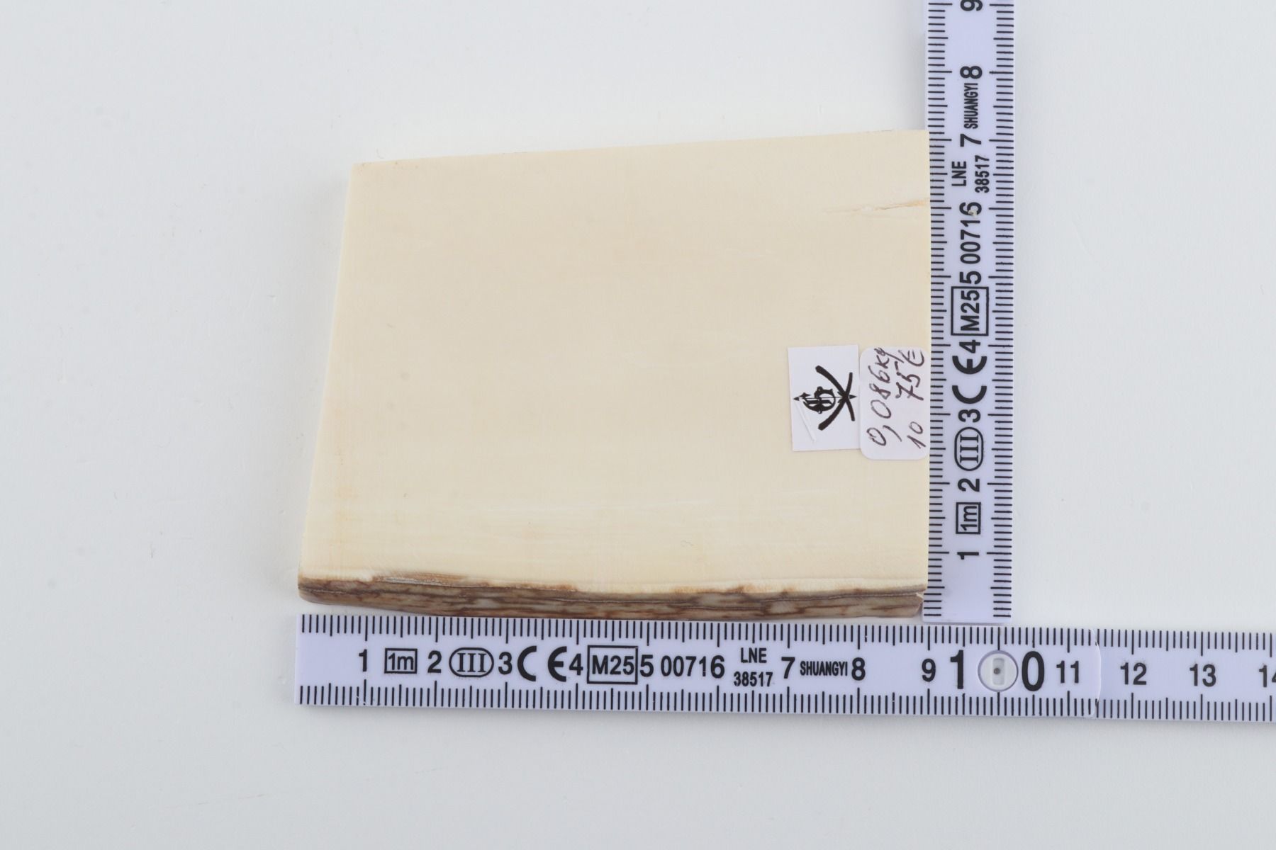 White mammoth ivory segment