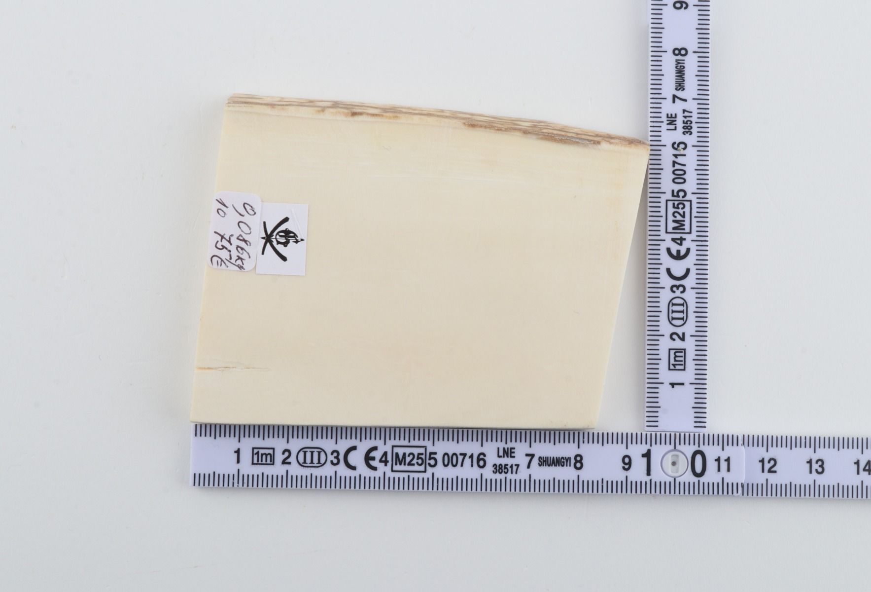 White mammoth ivory segment