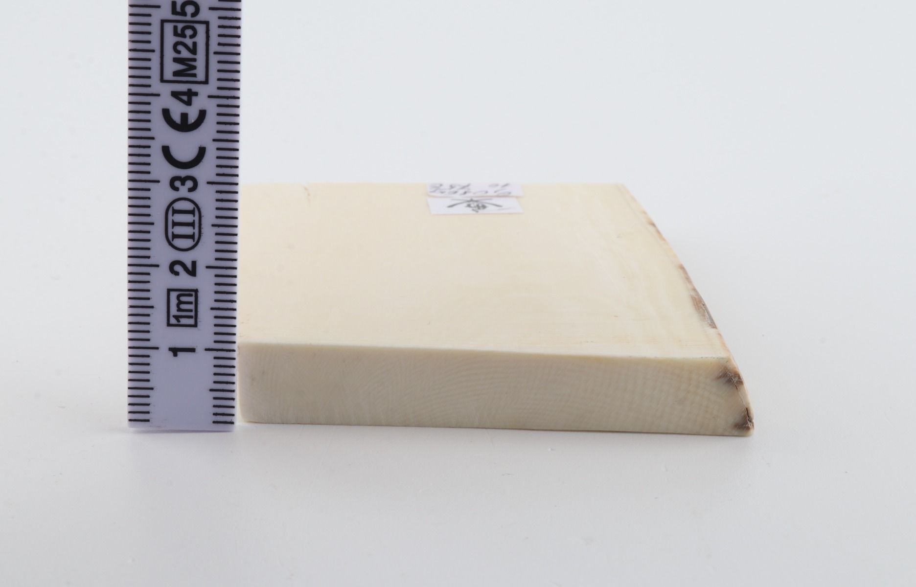 White mammoth ivory segment