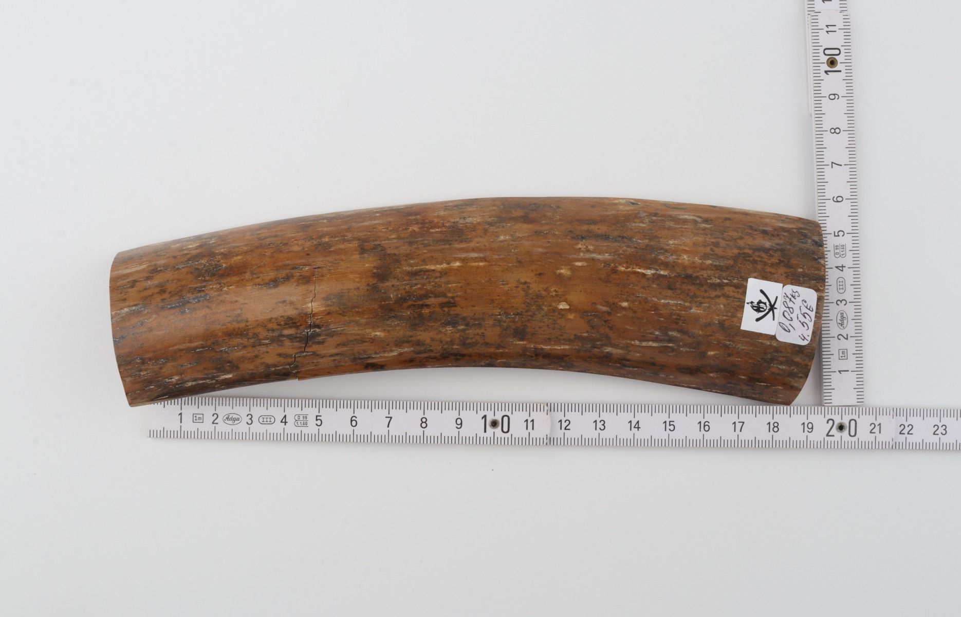 Brown-caramel mammoth bark