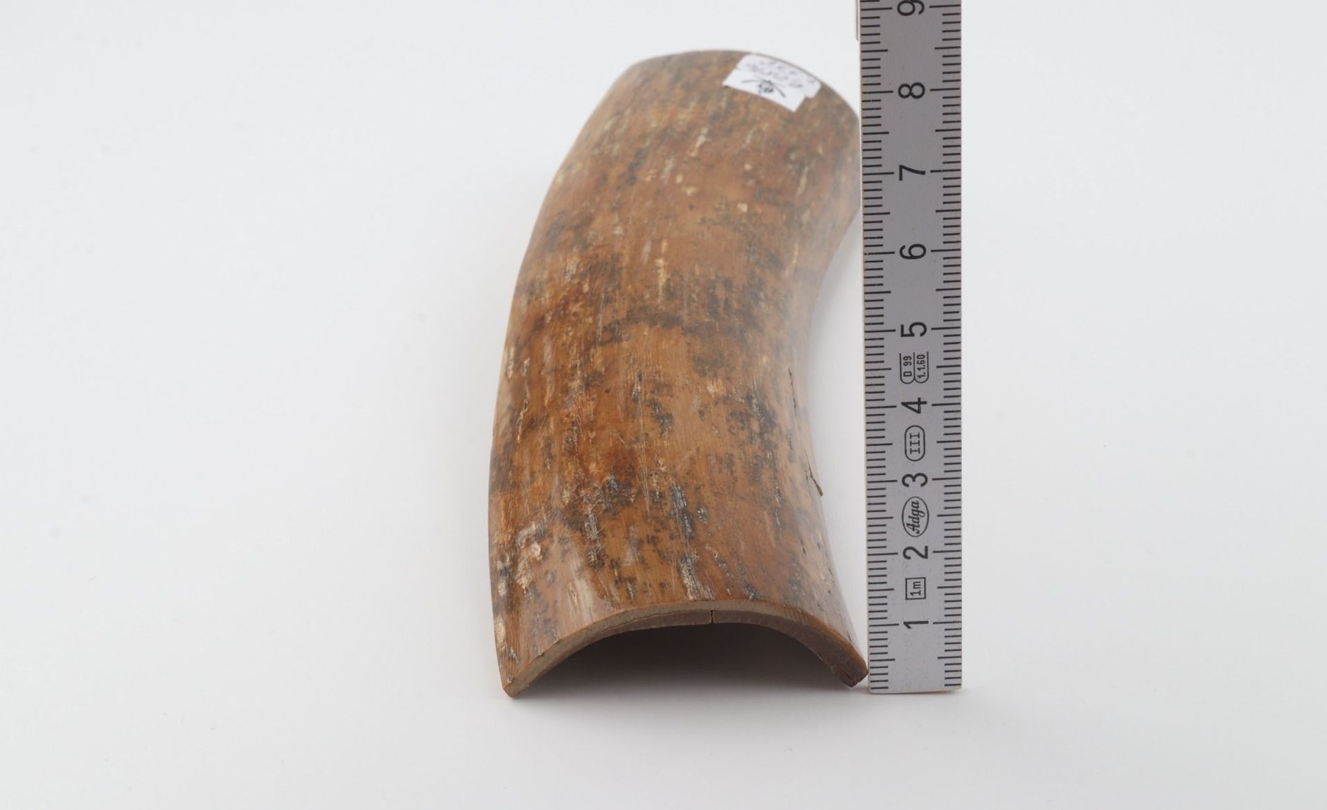 Brown-caramel mammoth bark