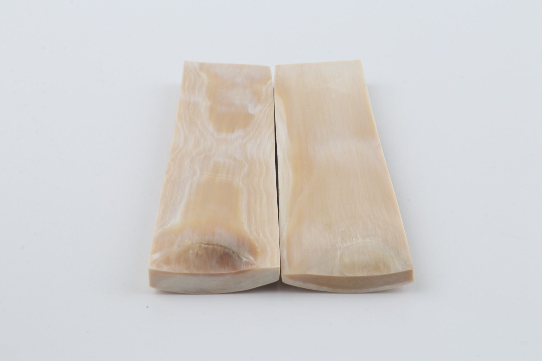 Natural mammoth bark scales