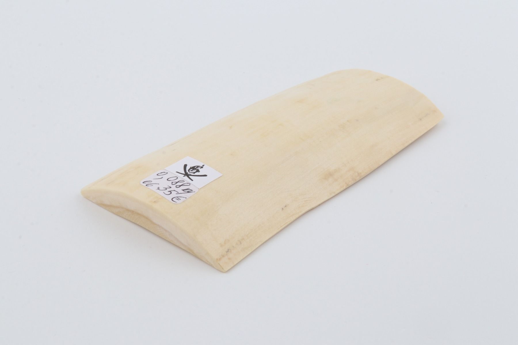 White mammoth ivory piece