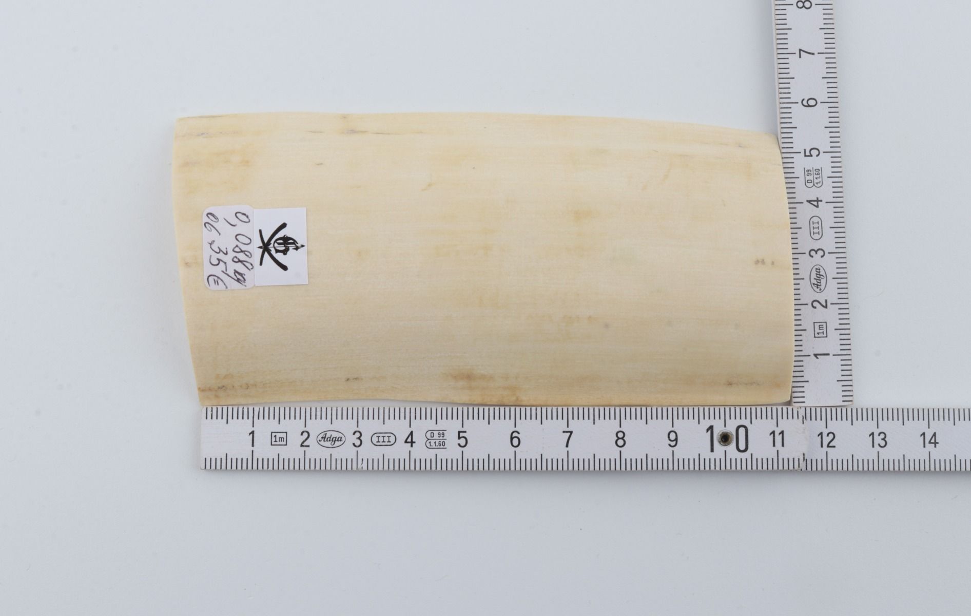 White mammoth ivory piece