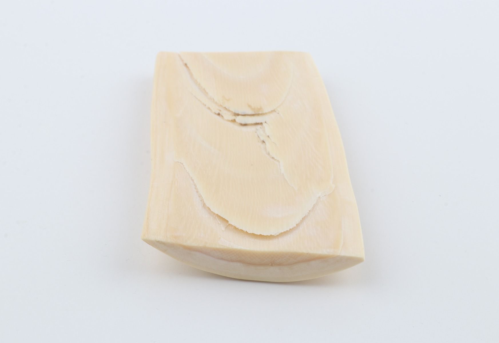White mammoth ivory piece