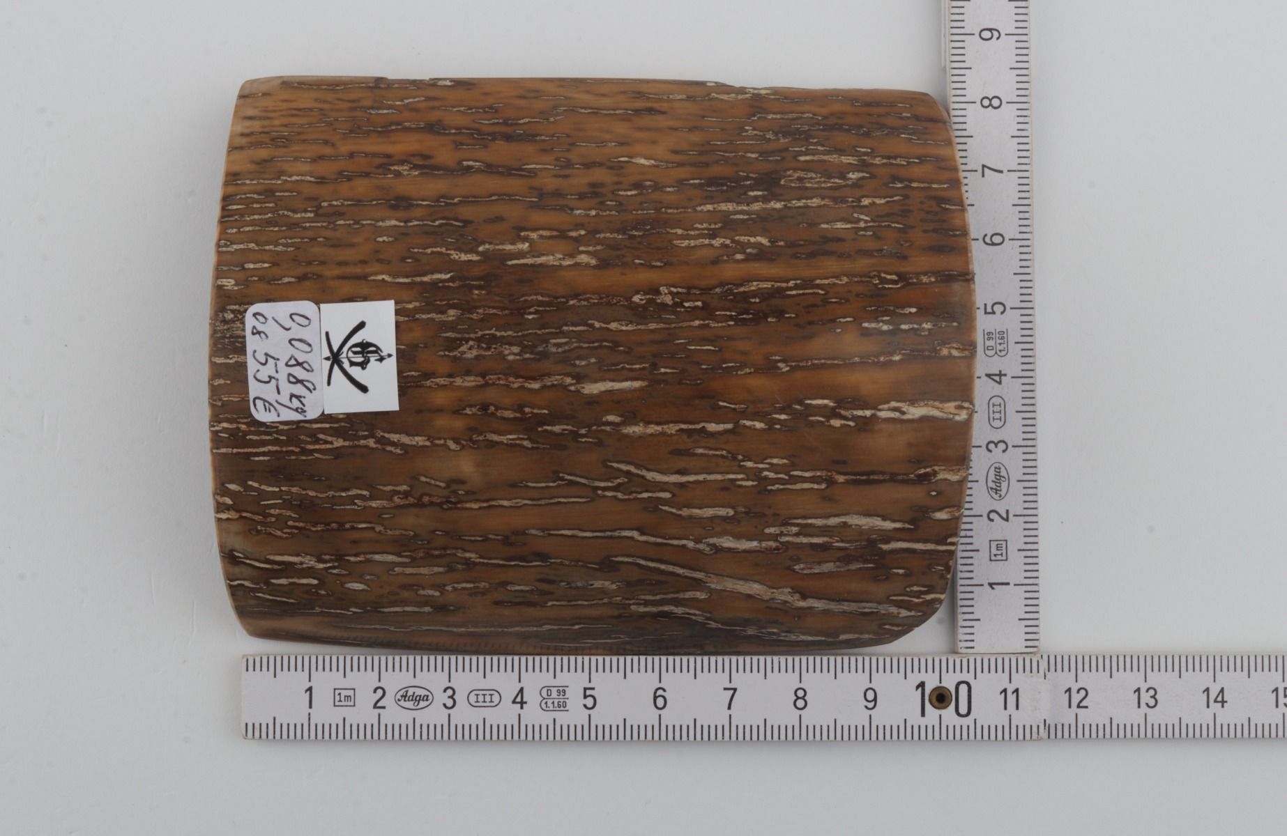 Beige-mustard mammoth bark