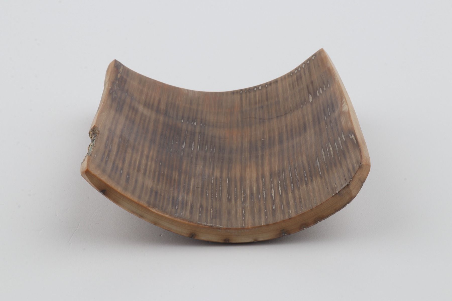 Beige-mustard mammoth bark