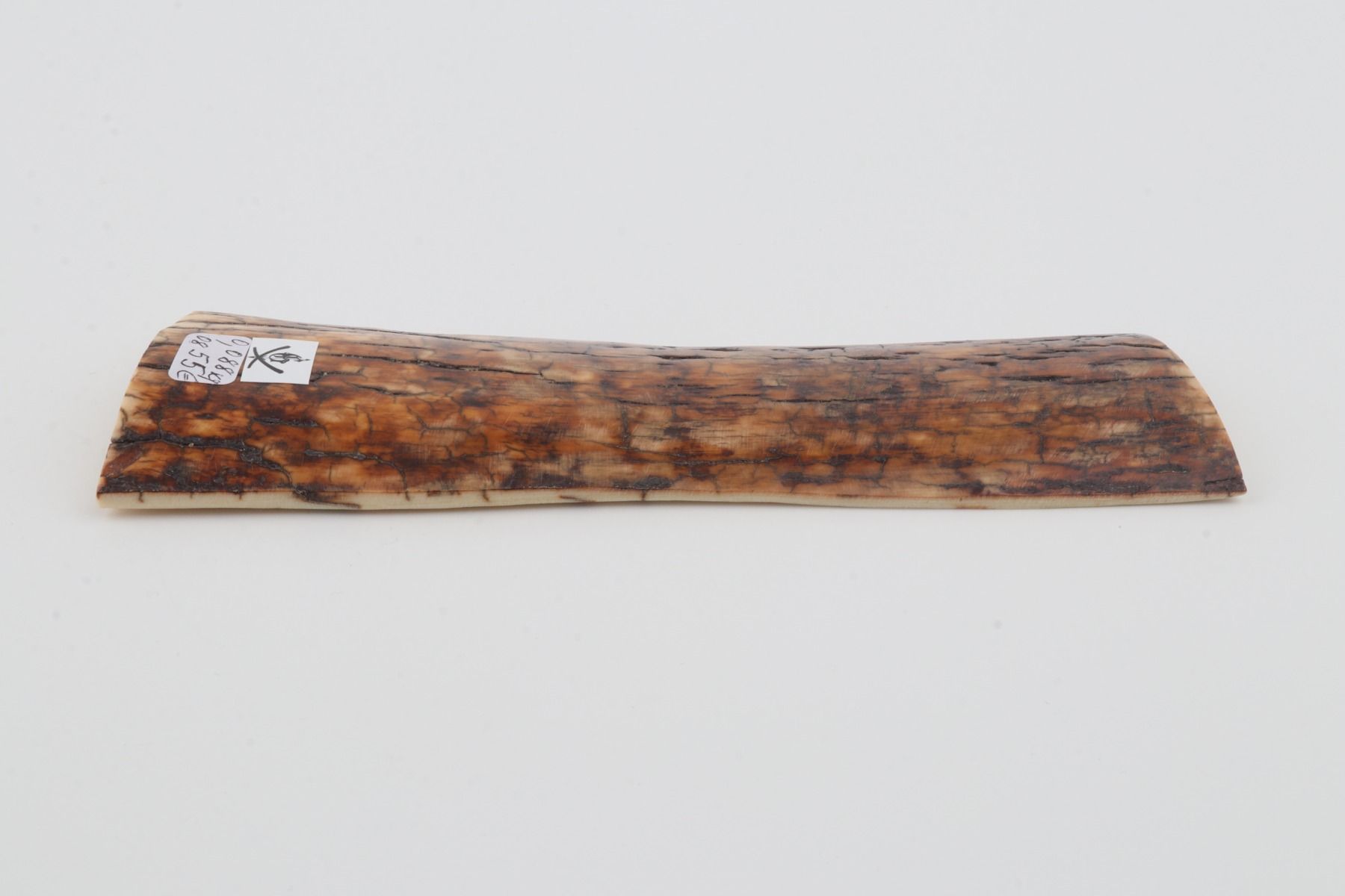 Brown-orange mammoth bark