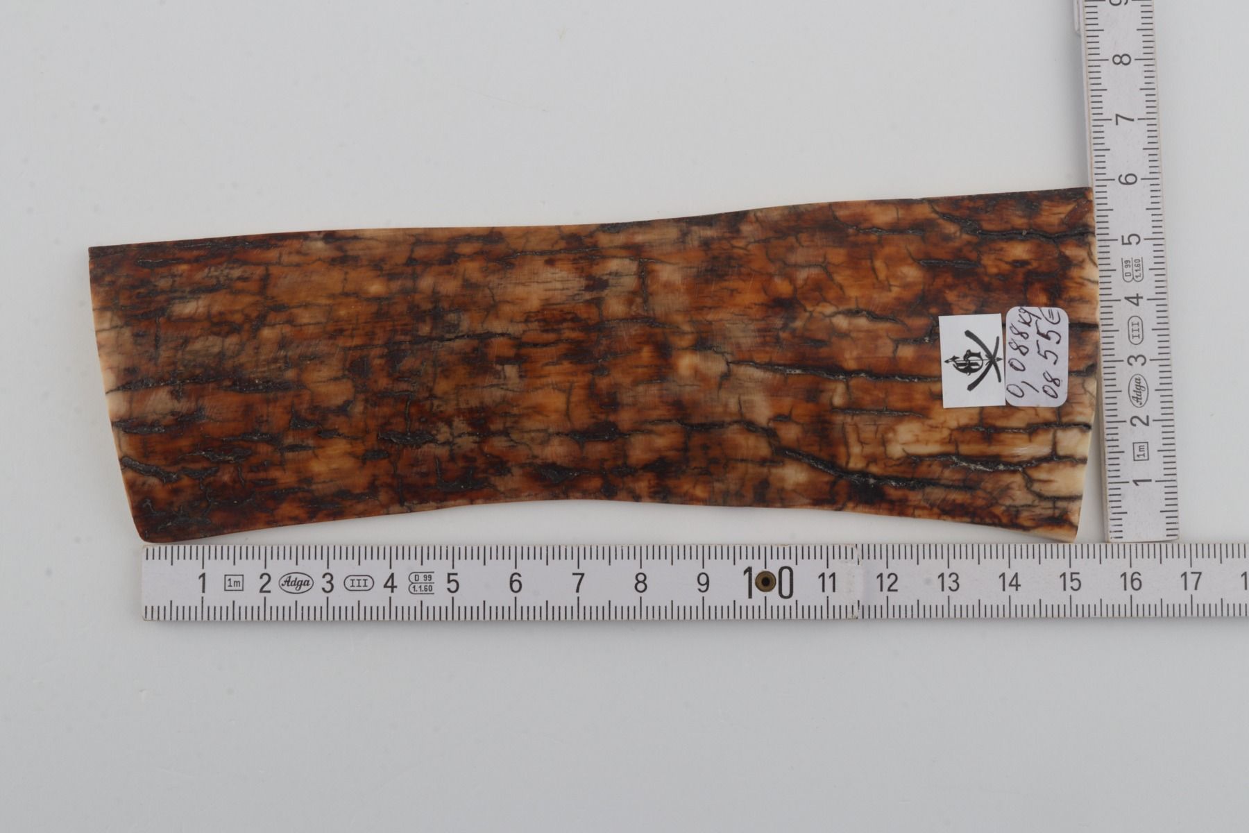 Brown-orange mammoth bark