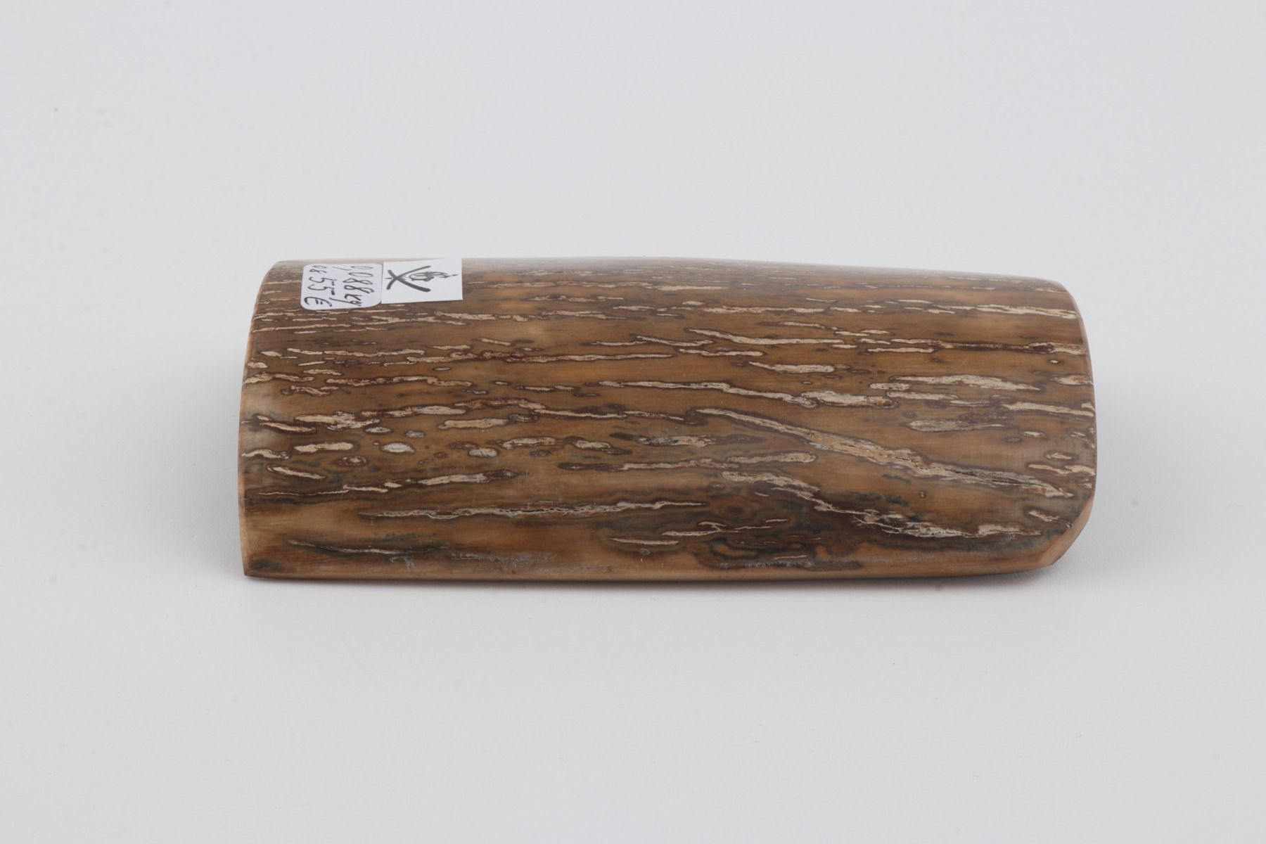 Beige-mustard mammoth bark