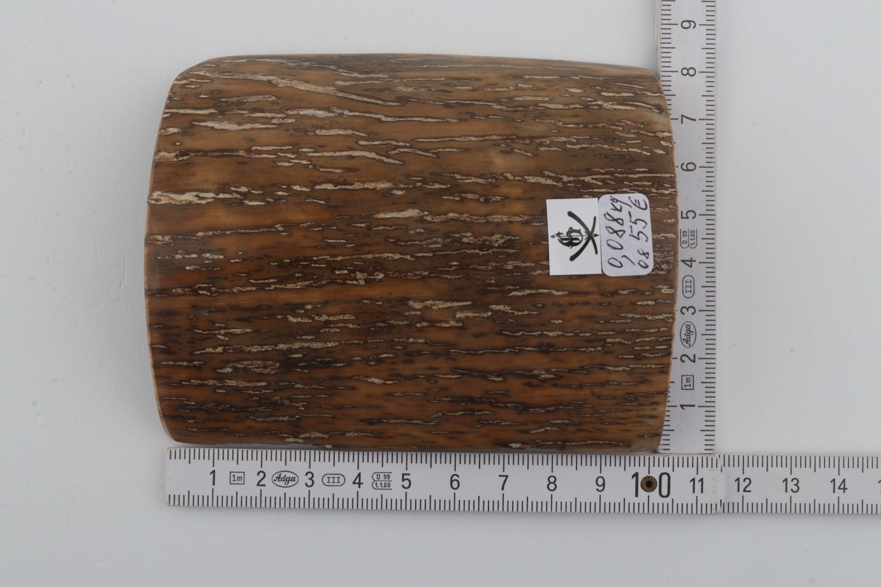 Beige-mustard mammoth bark