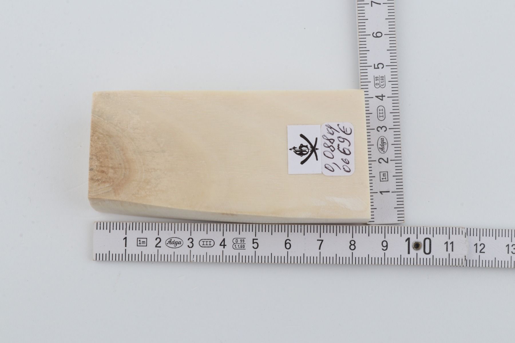 White mammoth ivory segment