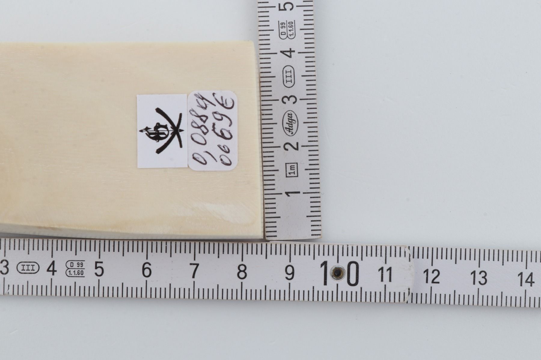 White mammoth ivory segment