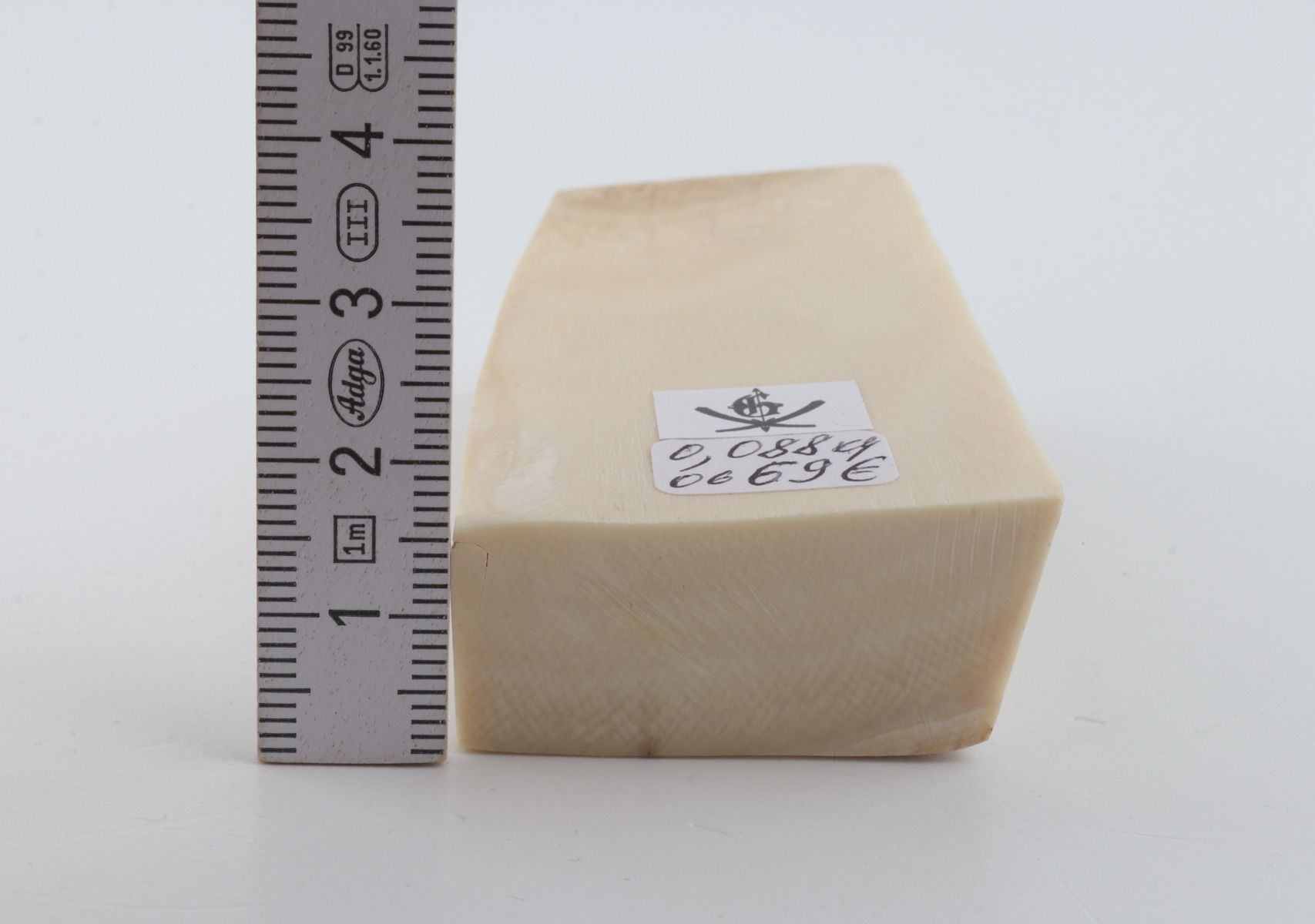White mammoth ivory segment