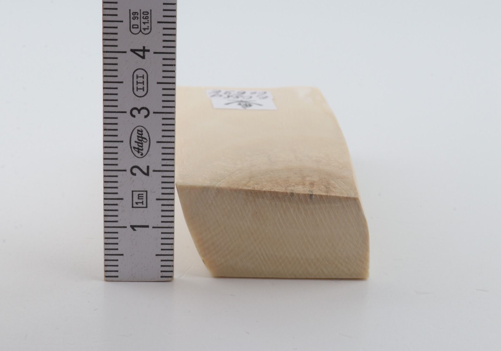White mammoth ivory segment