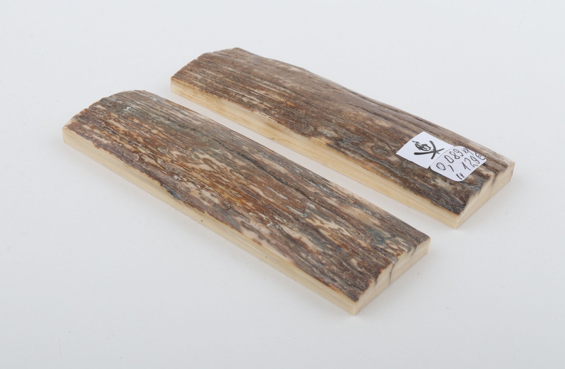 Natural mammoth bark scales