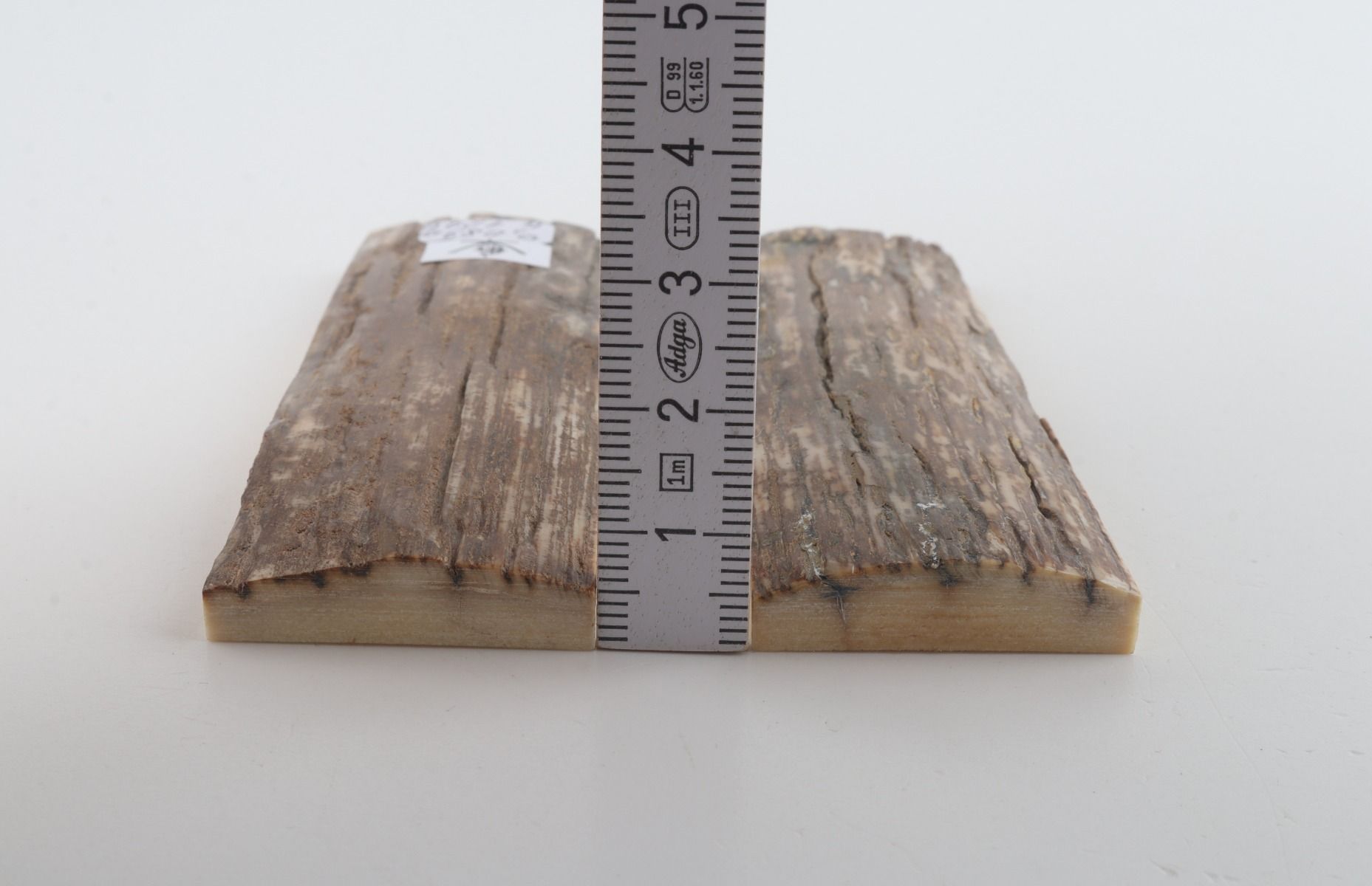 Natural mammoth bark scales