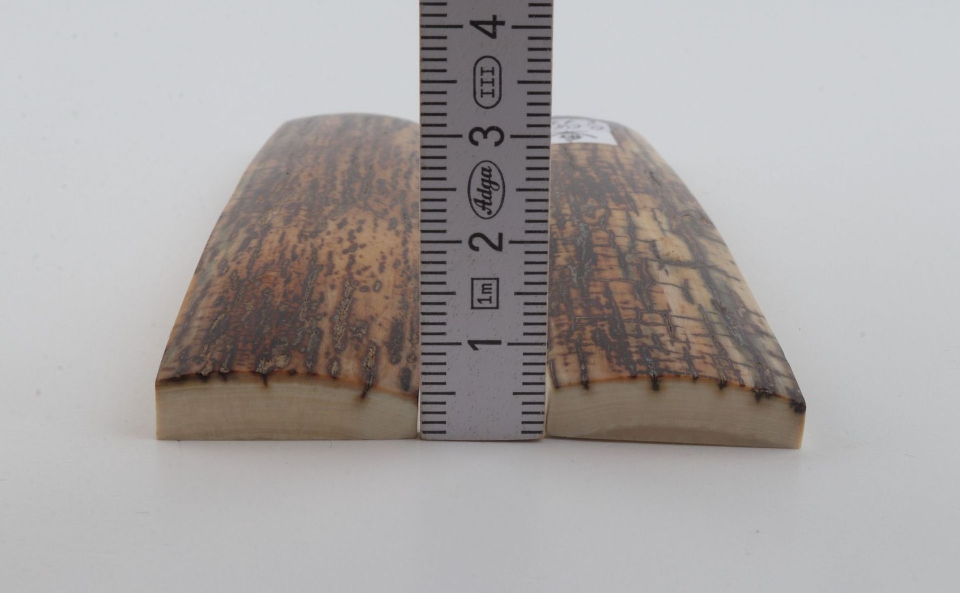 Natural mammoth bark scales