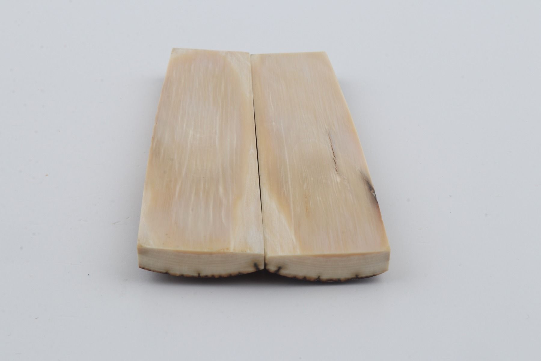 Natural mammoth bark scales