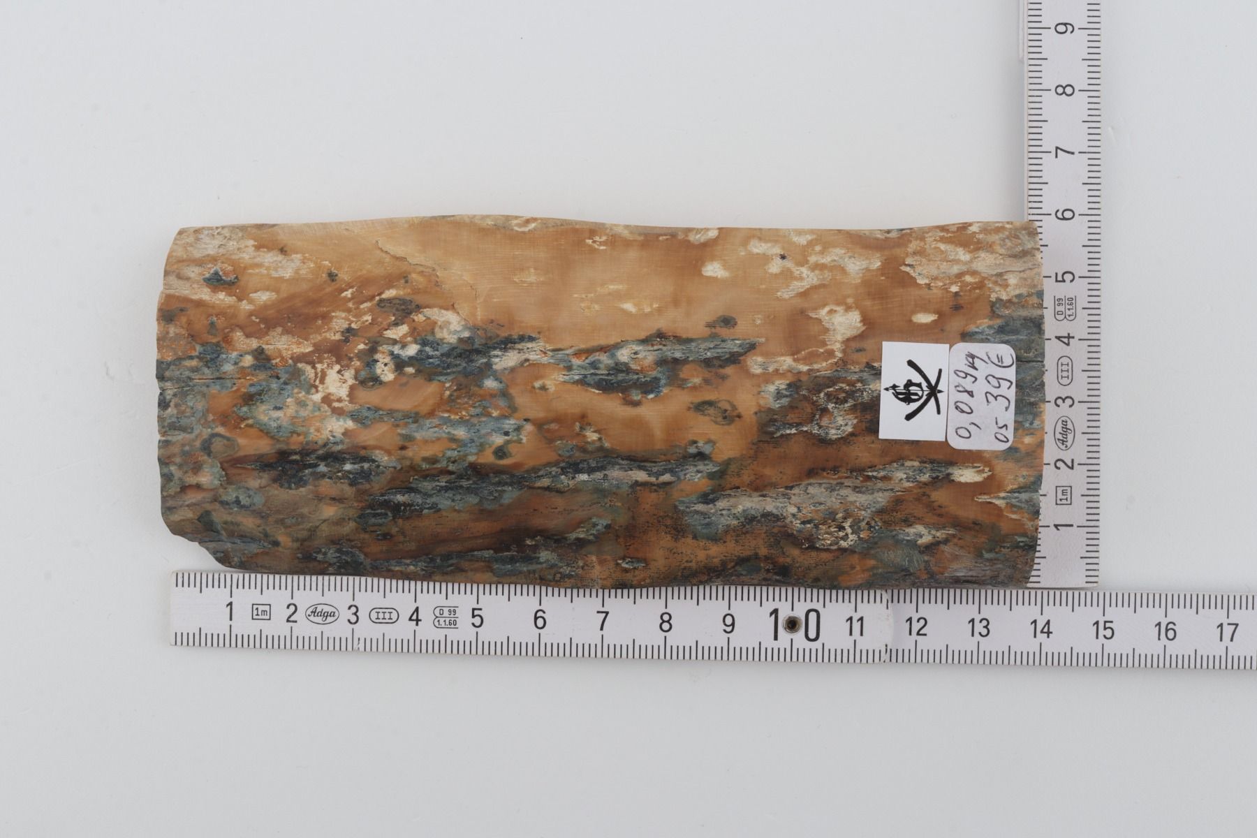 Beige-blue mammoth bark