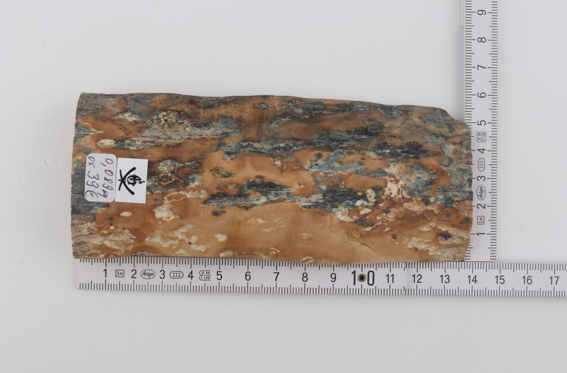 Beige-blue mammoth bark