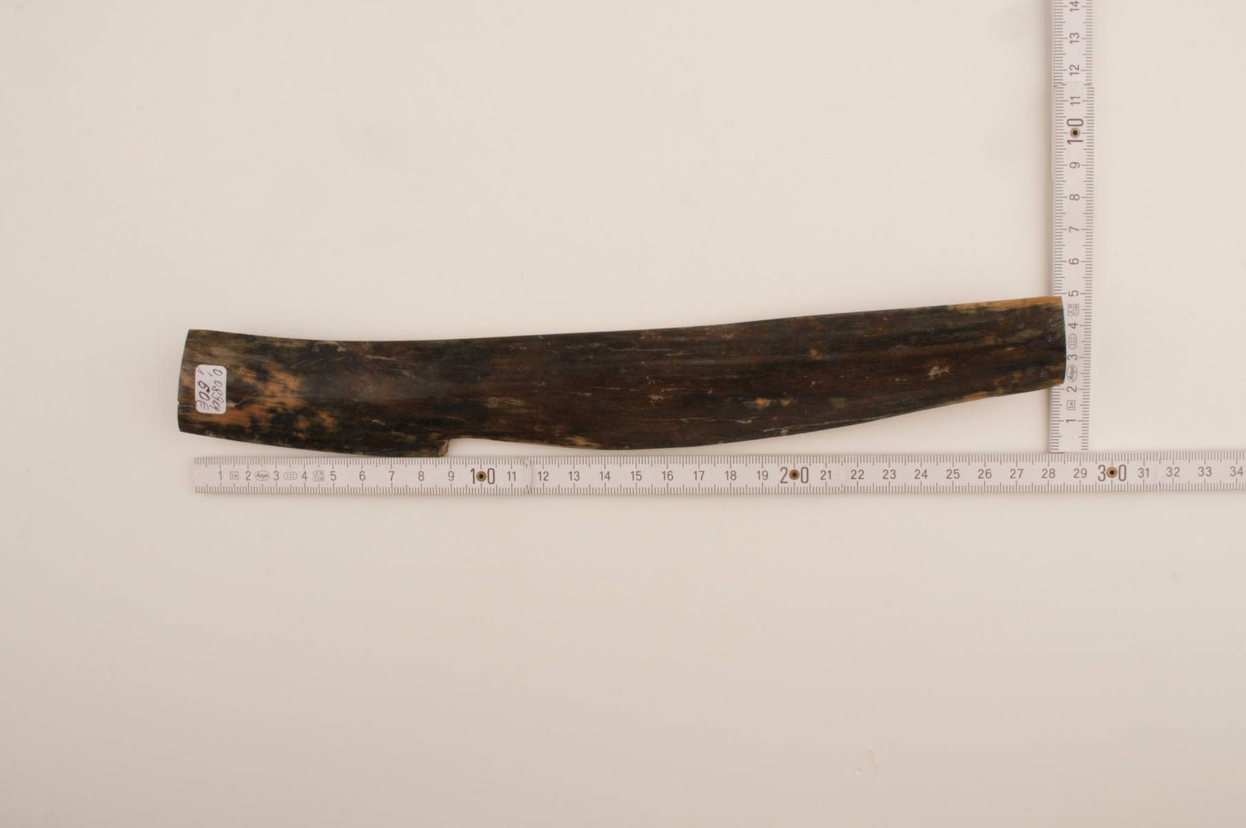 Blue-brown mammoth bark