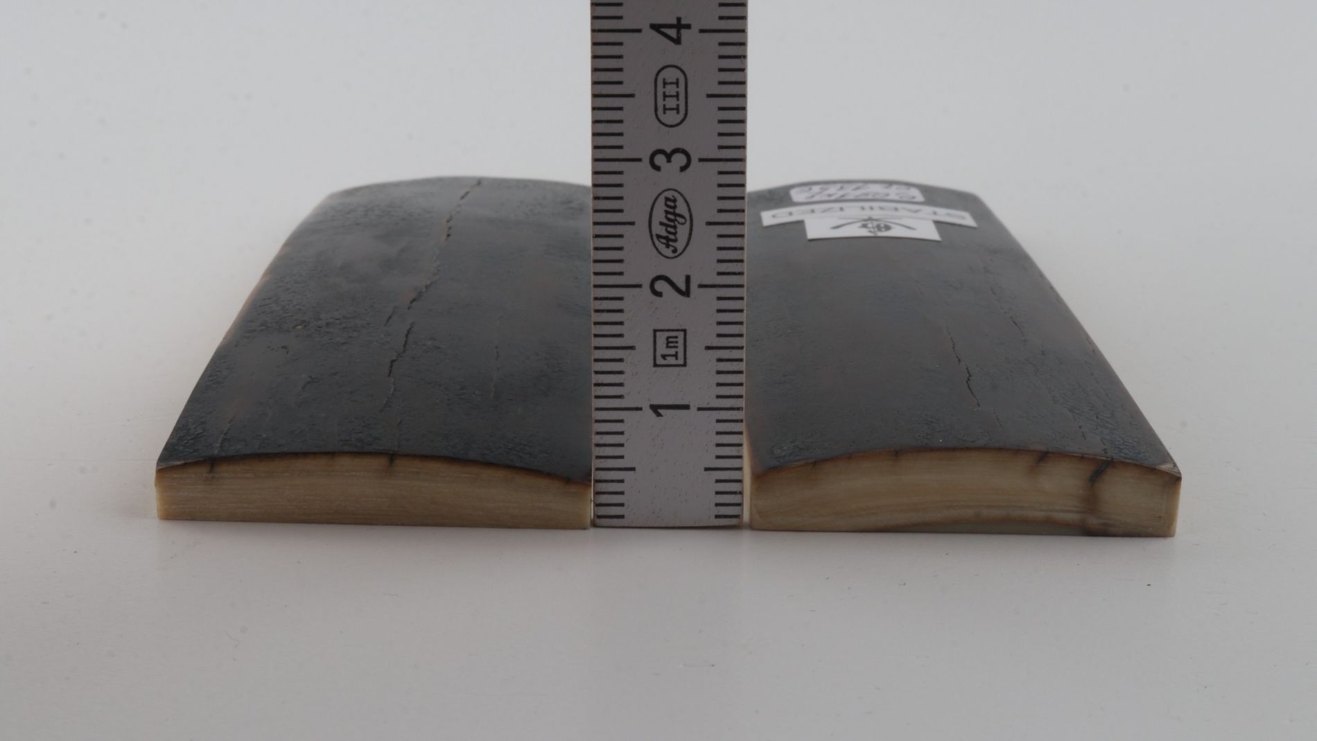 Stabilised mammoth bark scales