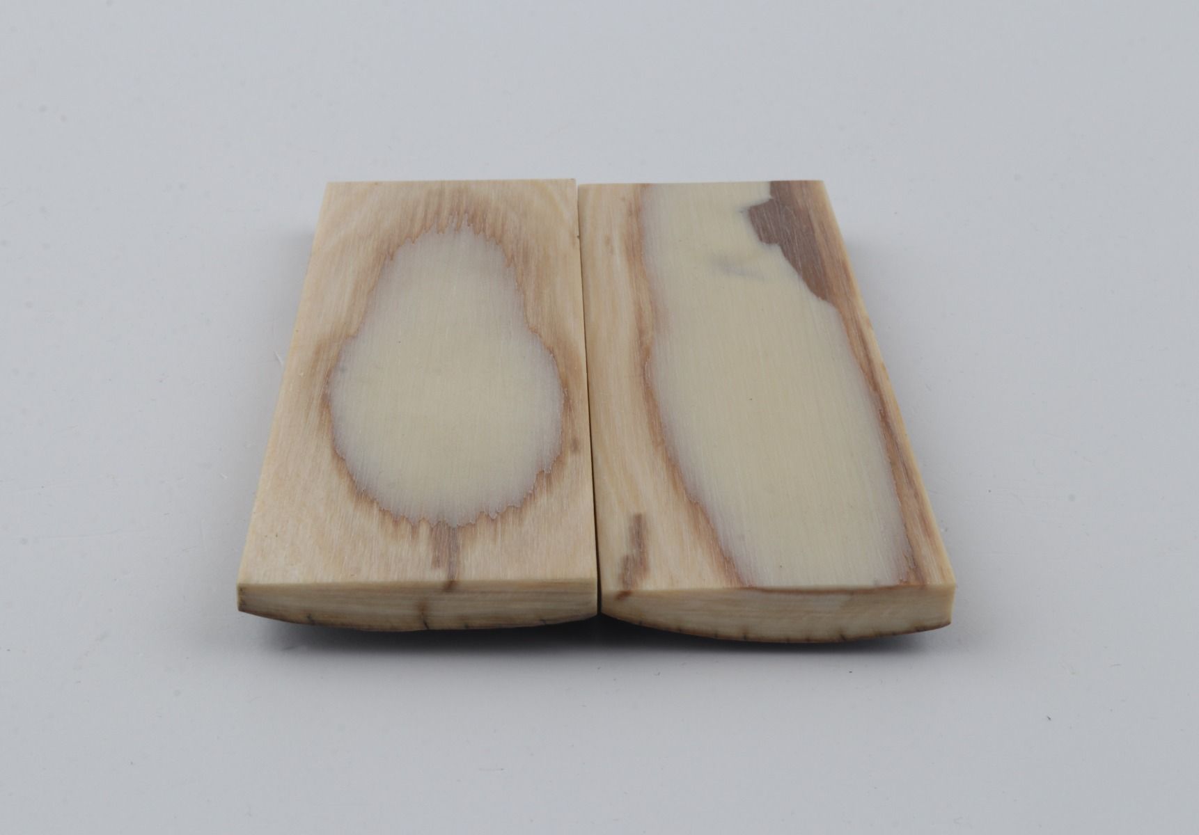 Stabilised mammoth bark scales