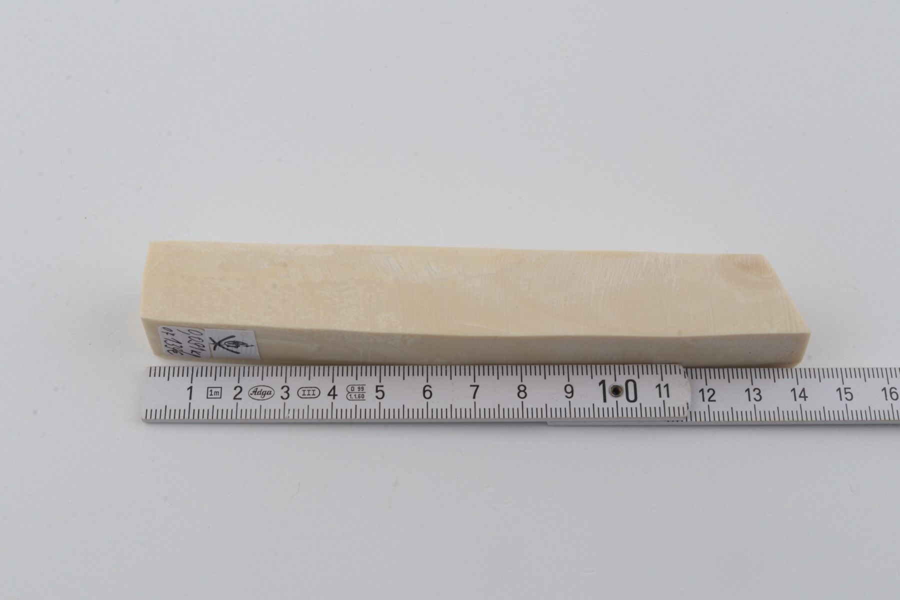 White mammoth ivory segment
