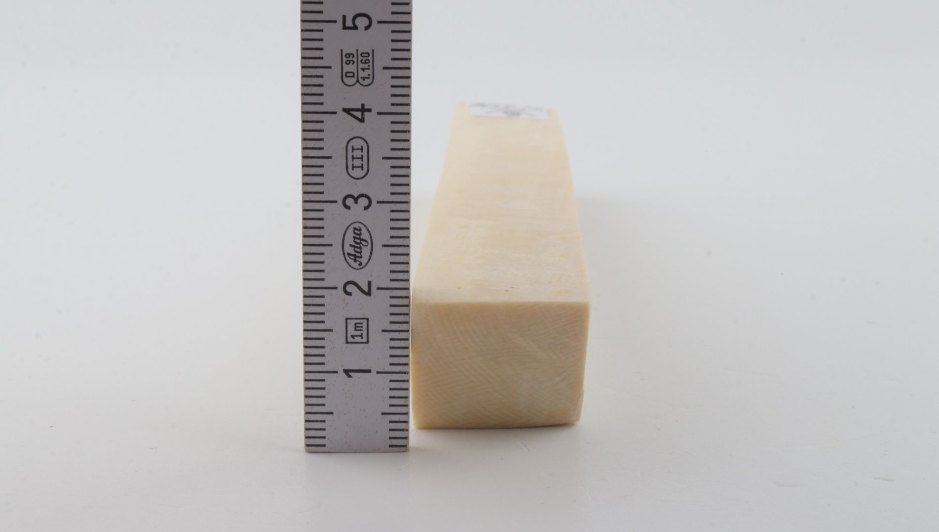 White mammoth ivory segment