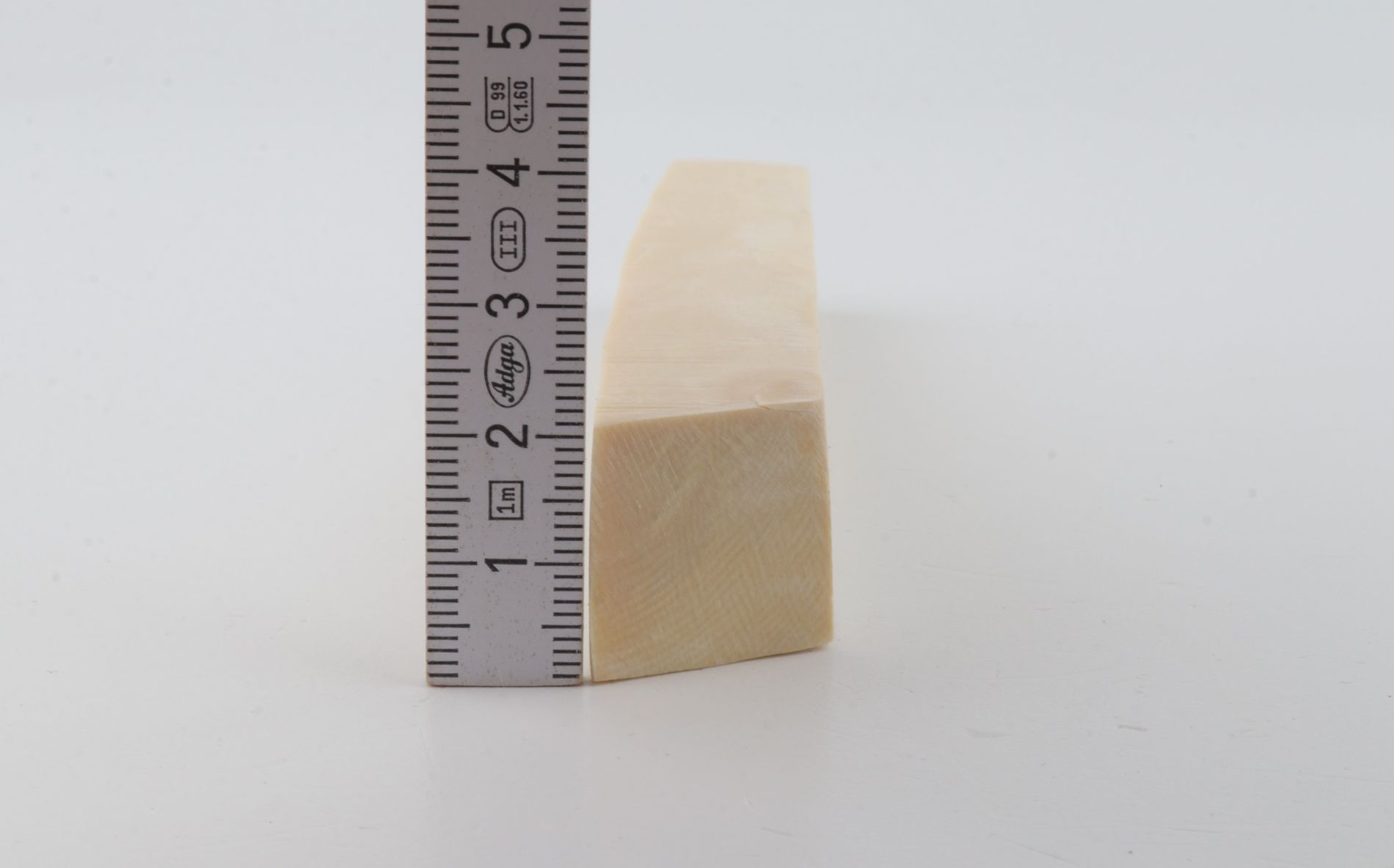 White mammoth ivory segment