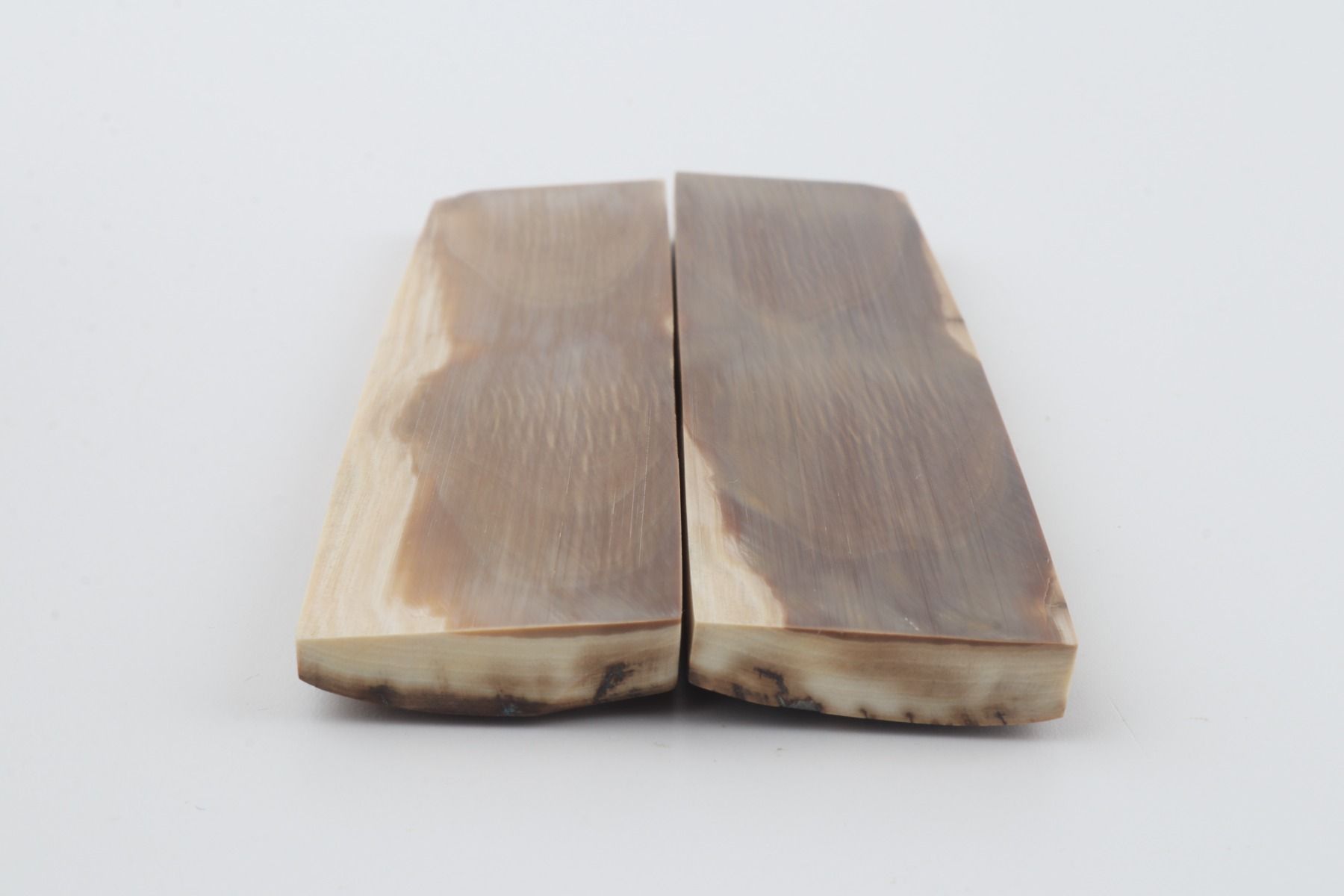 Natural mammoth bark scales