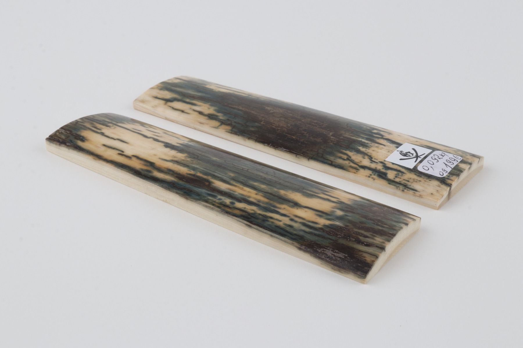 Natural mammoth bark scales