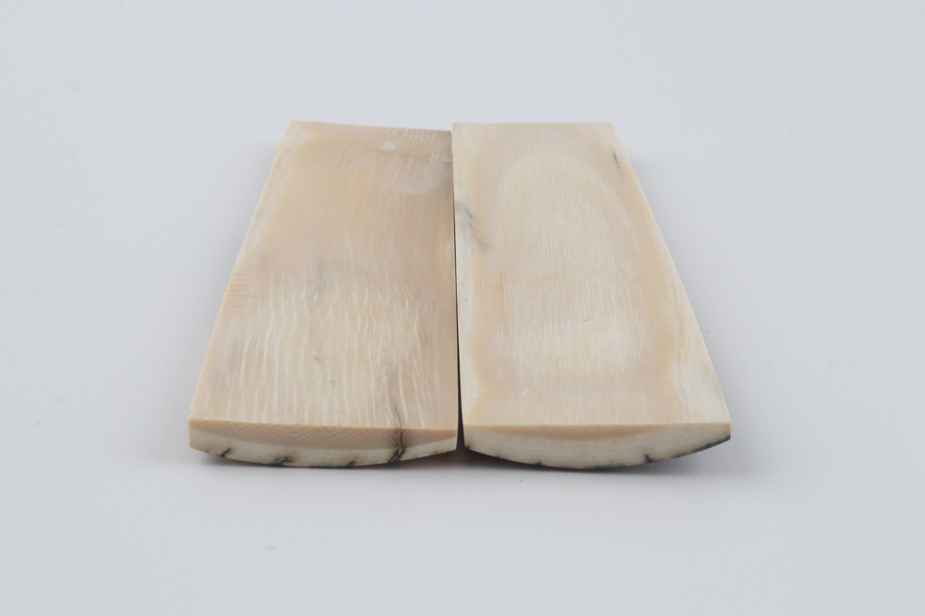 Natural mammoth bark scales
