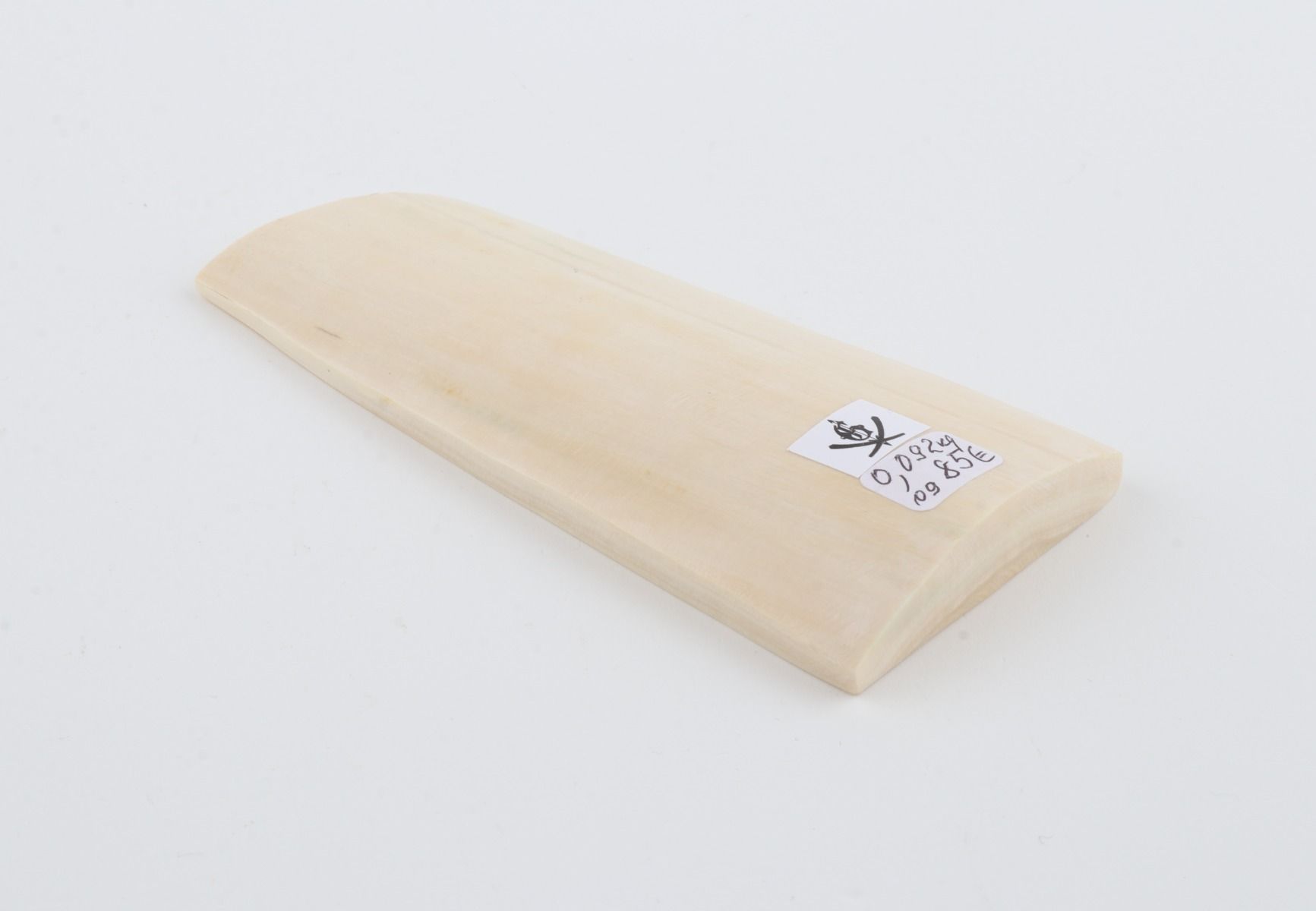 White mammoth ivory piece