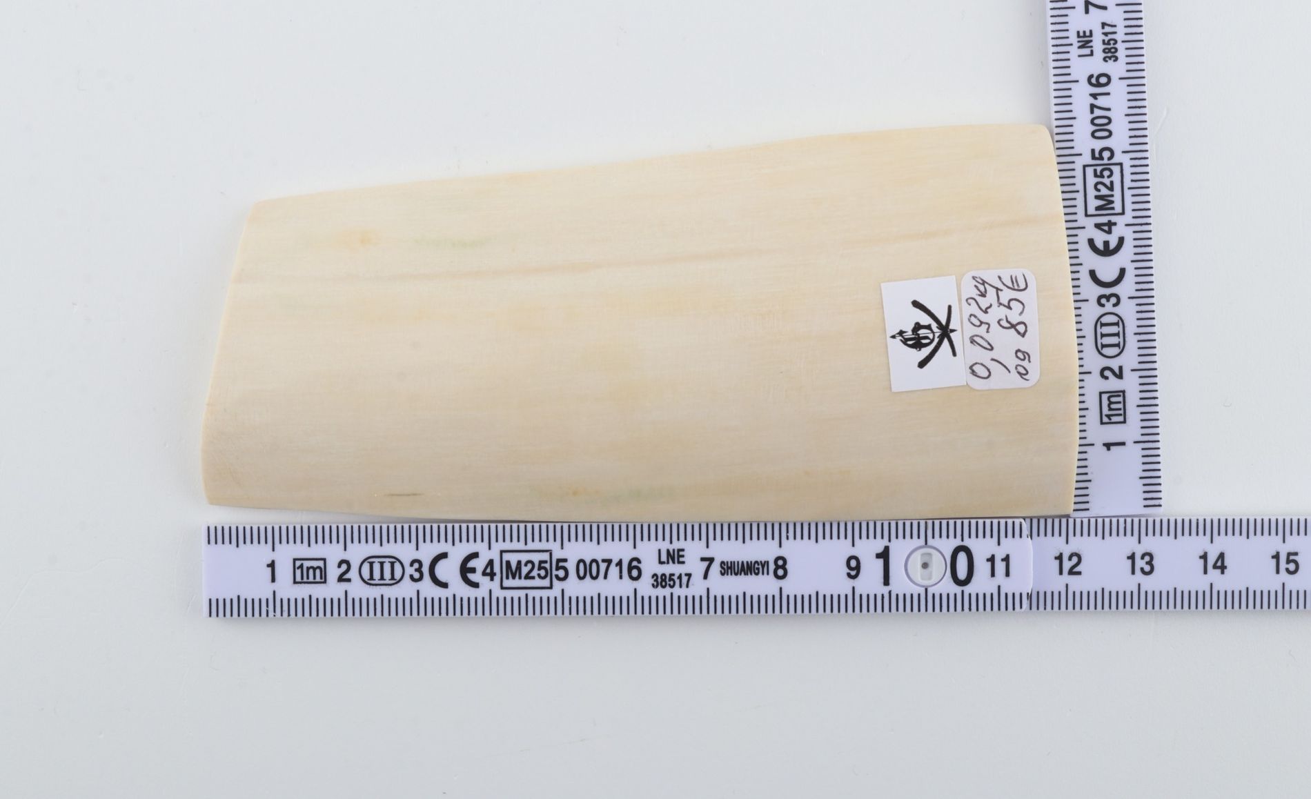 White mammoth ivory piece