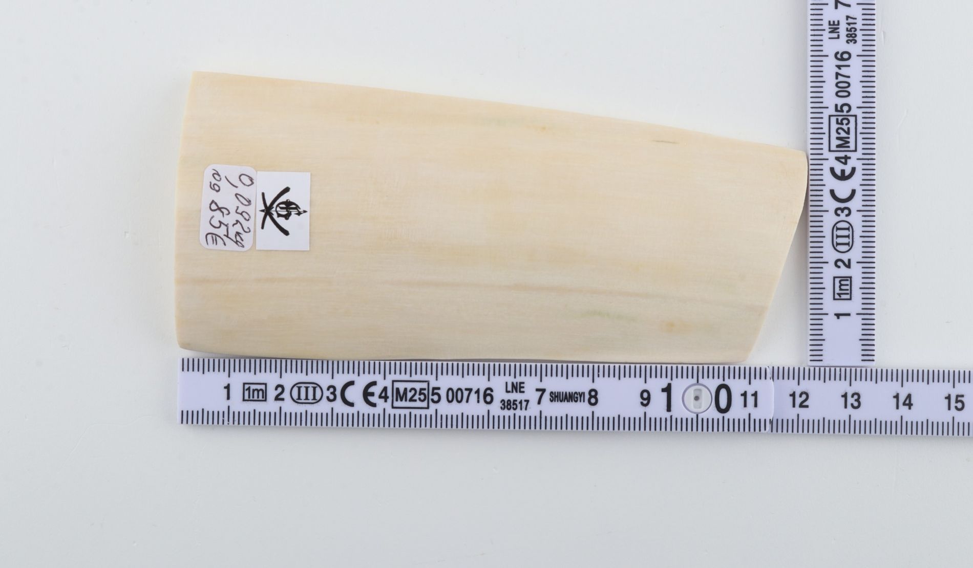 White mammoth ivory piece