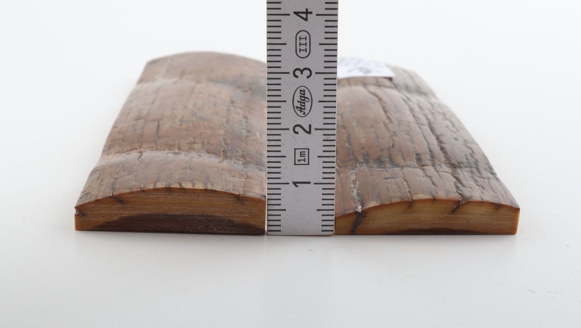 Natural mammoth bark scales