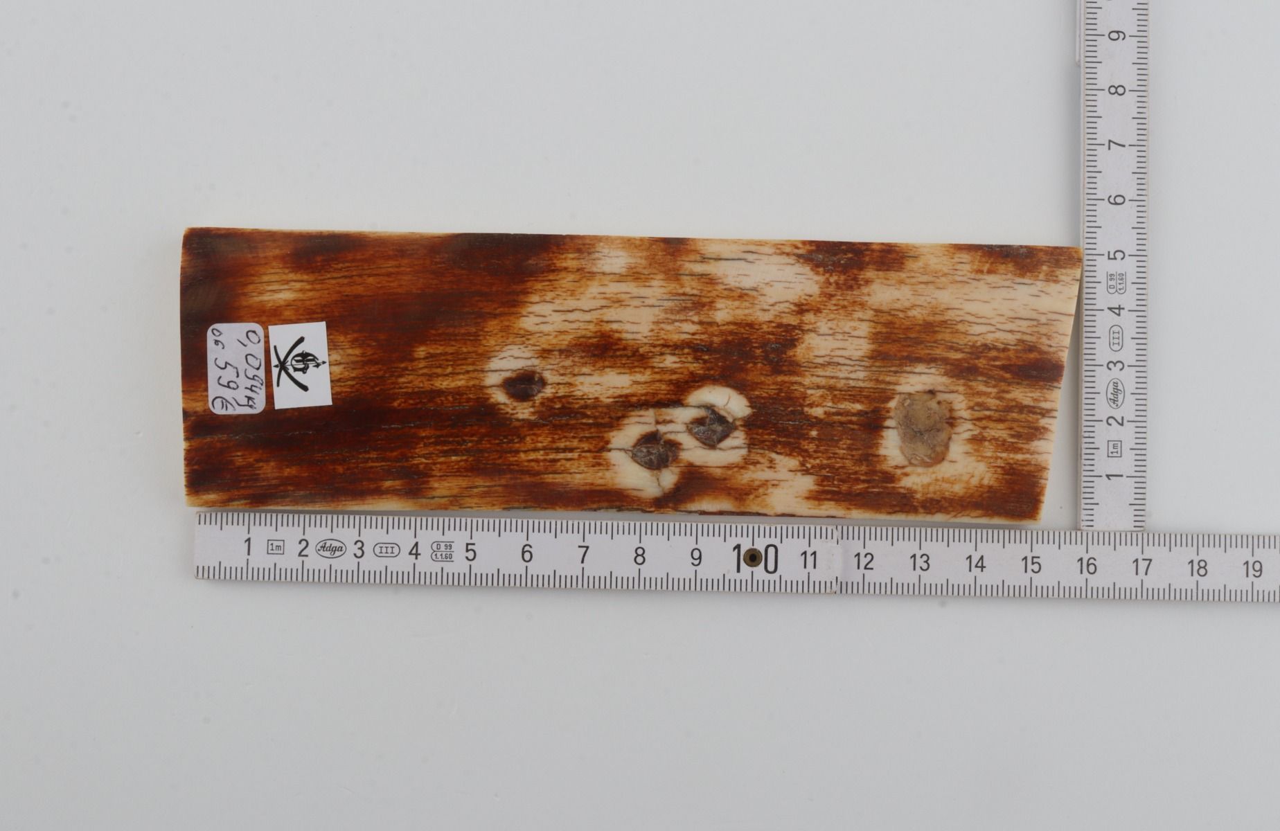 Natural woolly mammoth bark