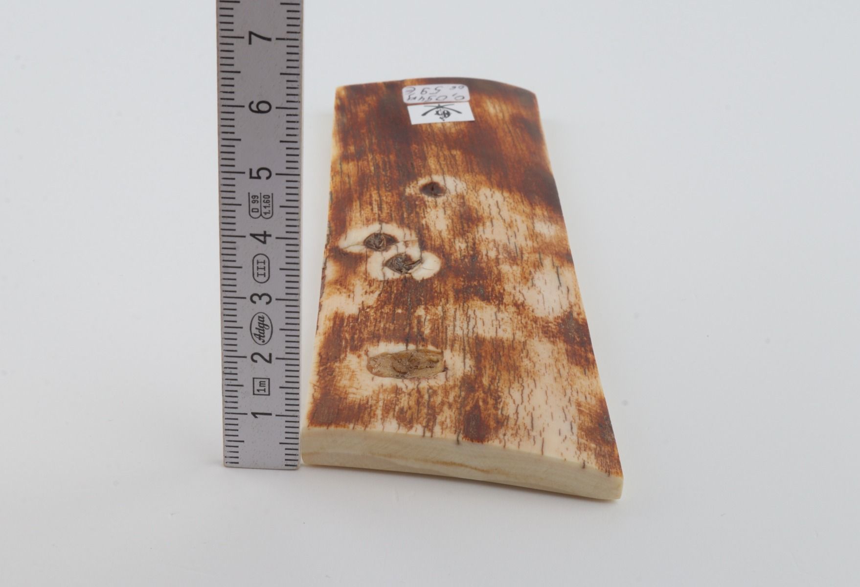 Natural woolly mammoth bark
