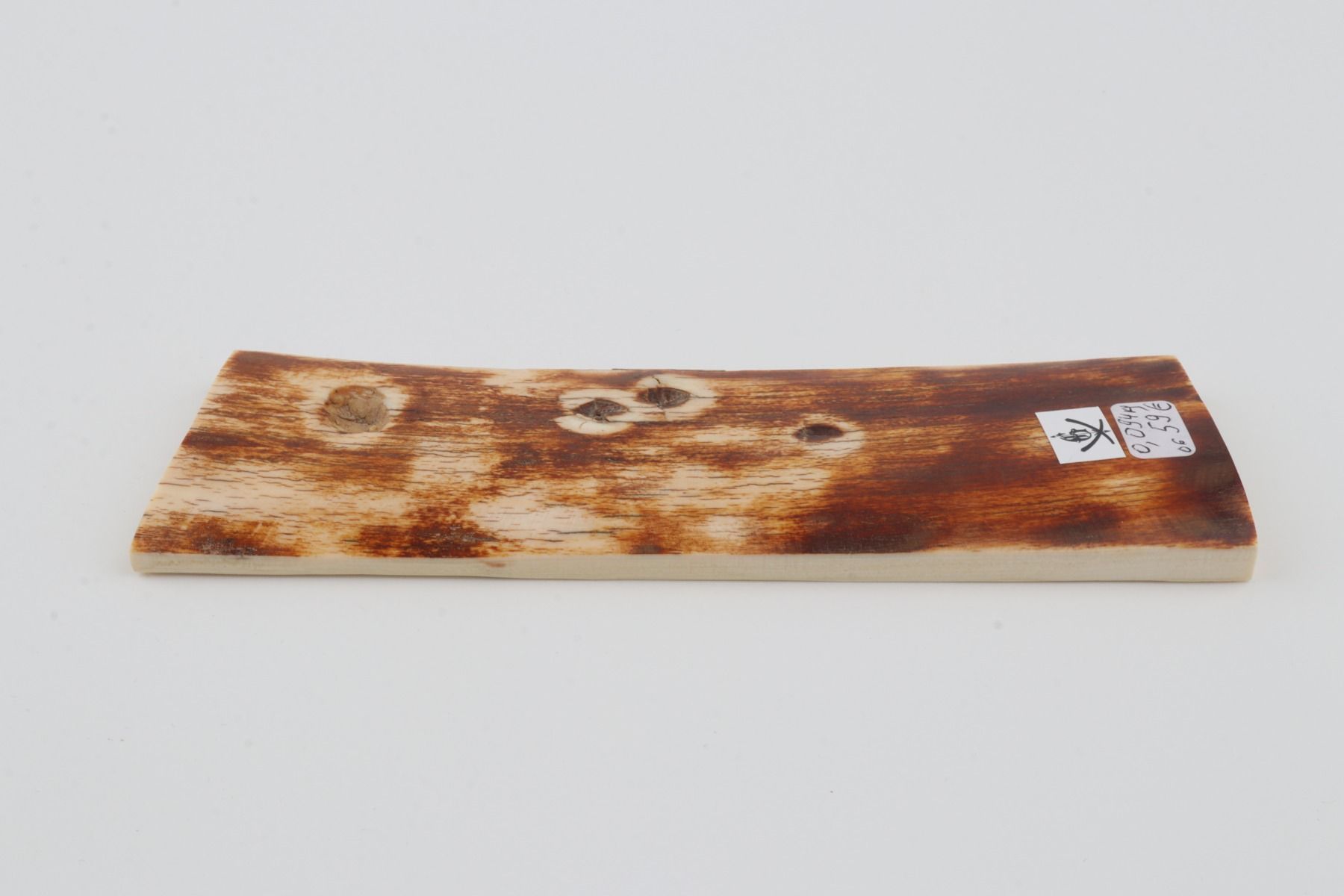 Natural woolly mammoth bark